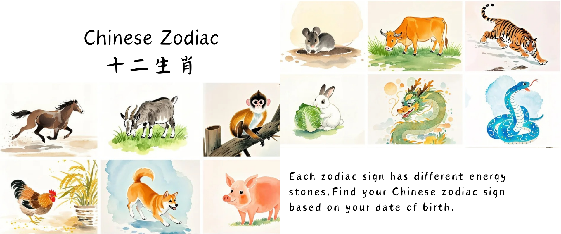 Explore the 12 Chinese zodiac signs