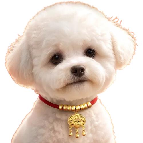Pets red rope collar