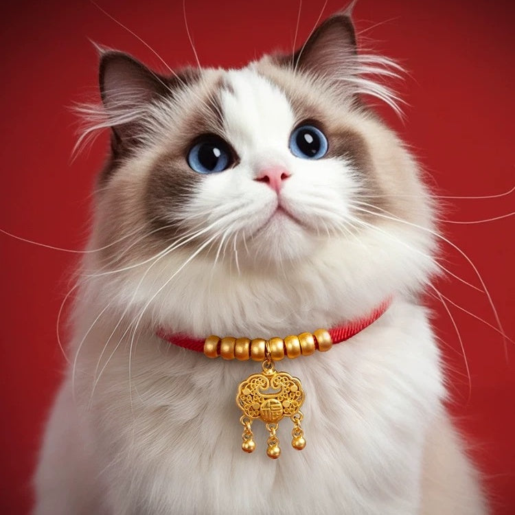Lucky pet longevity Lock—Blessing Lock
