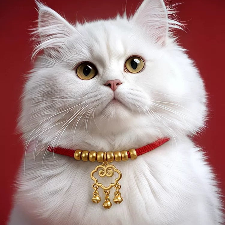 Lucky pet longevity Lock— Fortune Cloud