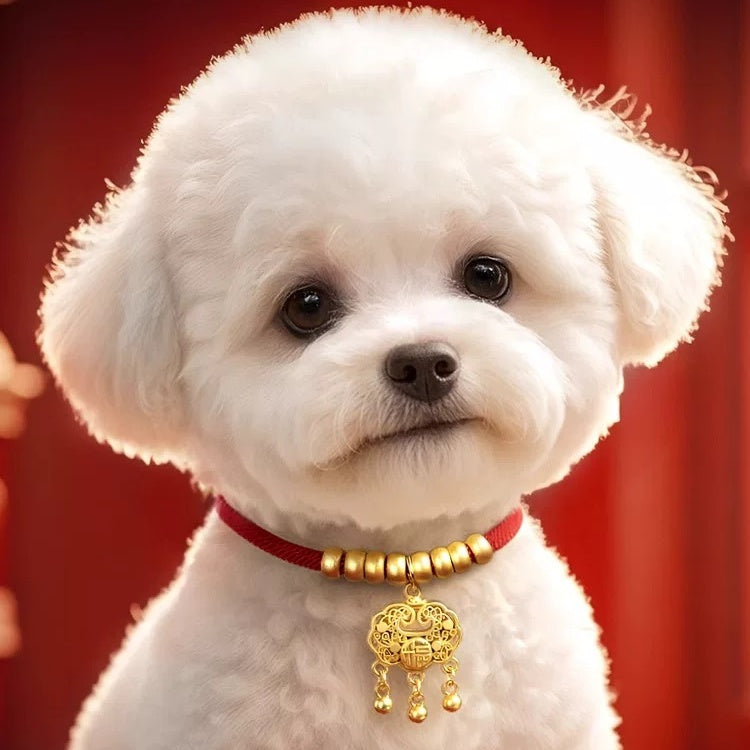 Lucky pet longevity Lock—Blessing Lock